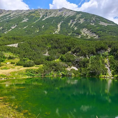 Deluxe King With Mountain View And Rilski * Bansko