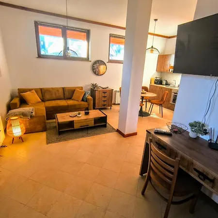 Deluxe King With Mountain View And Rilski 公寓 班斯科