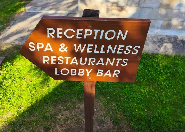 Apartament Deluxe King With Mountain View And Rilski