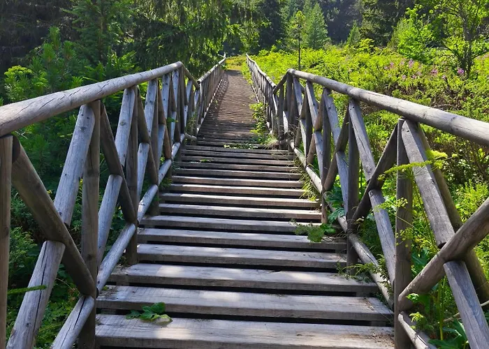 Deluxe King With Mountain View And Rilski *