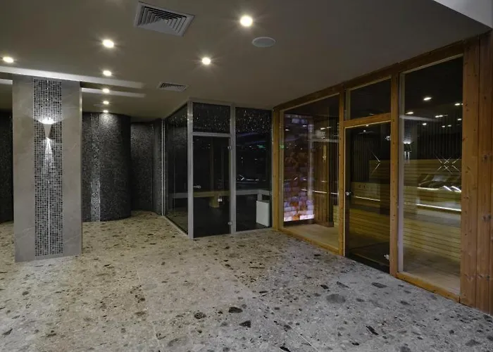 Apartament Deluxe King With Mountain View And Rilski